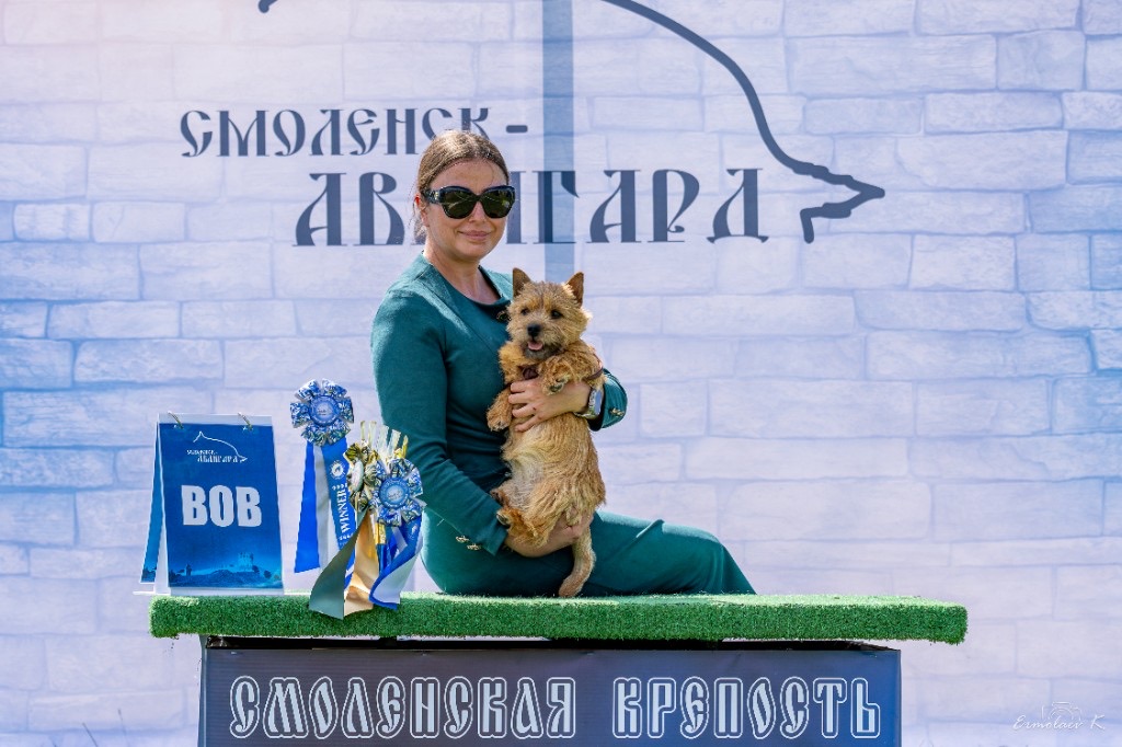 Pari, Best of Breed, Smolensk-Avangard