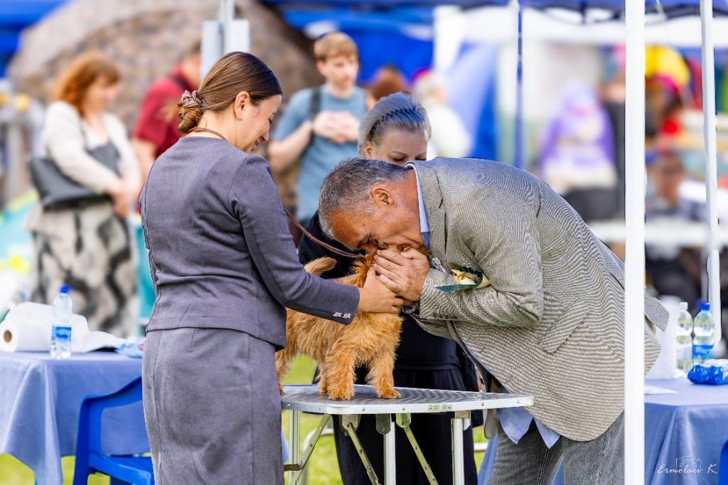Pari being examined at a show