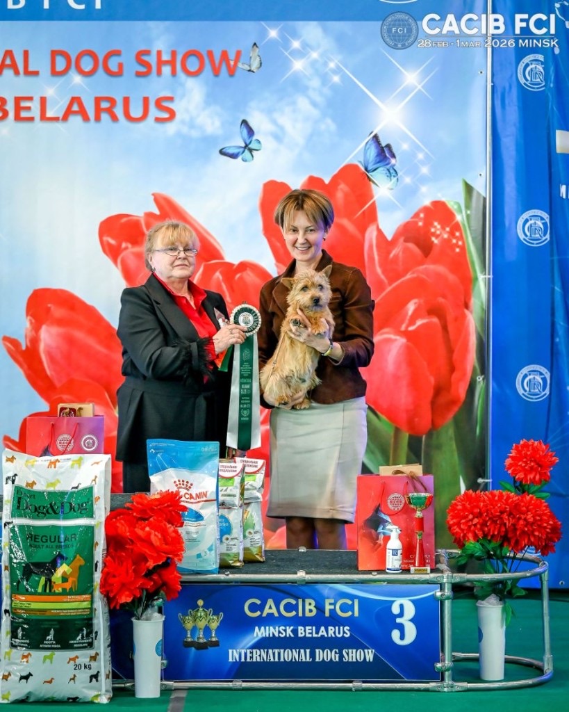 Pari on the Minsk podium