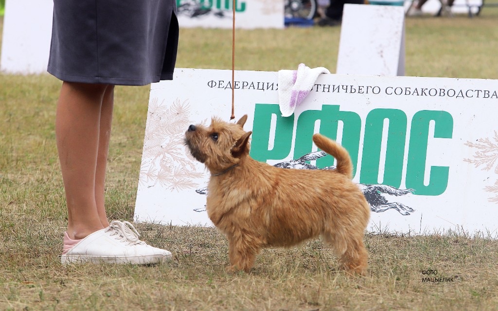 Pari in the RFOS ring