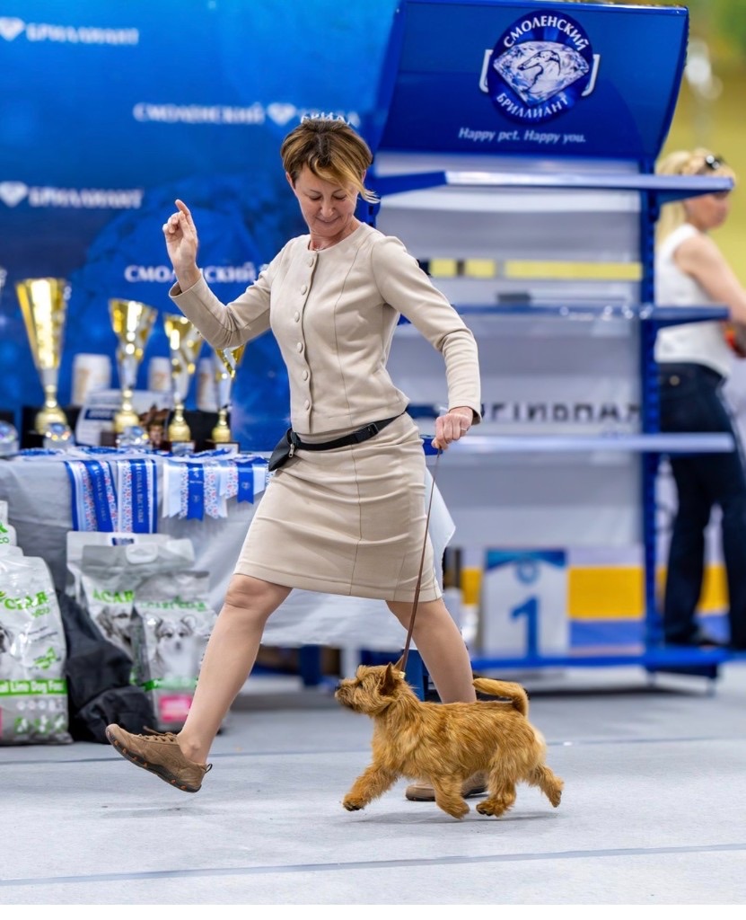 Pari in the ring, Smolensk Brilliant