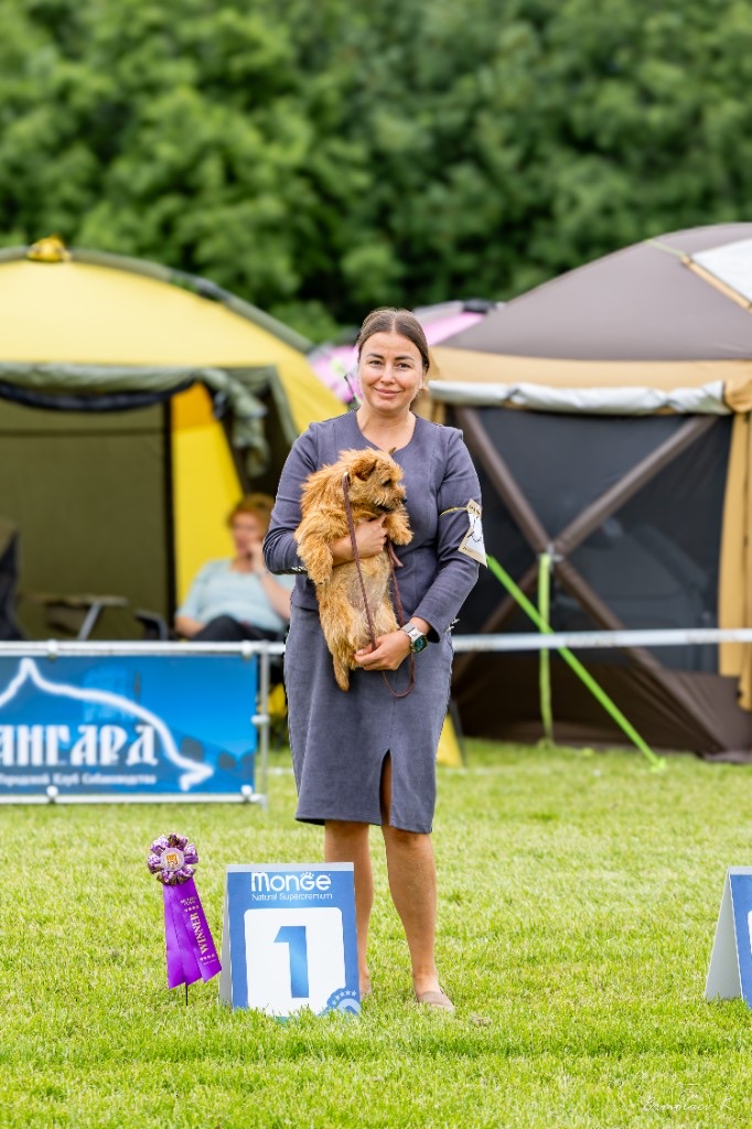 Pari with a Winner rosette